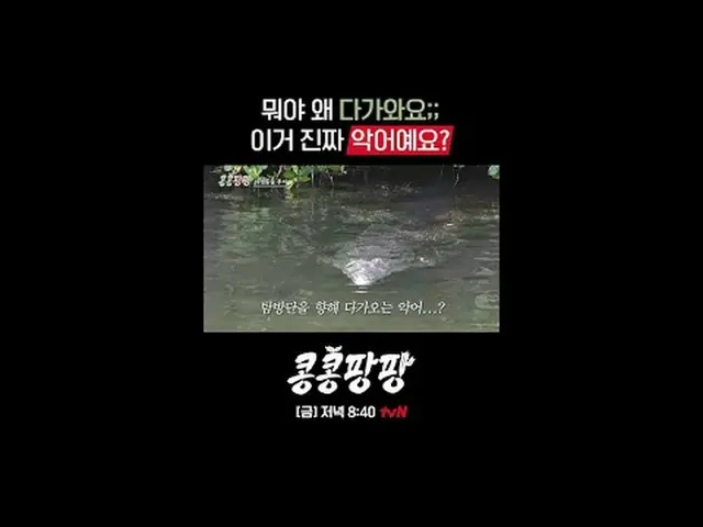 蒸した三人部屋イ・グァンス_ Xキム・ウビン_ X純度100％_ _ メキシコ自由旅行〈コンコンパンパン〉 ✔[ゴールド]ディナー8:40 tvN  #tvN 