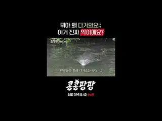 蒸した三人部屋イ・グァンス_ Xキム・ウビン_ X
純度100％_ _ メキシコ自由旅行

〈コンコンパンパン〉
 ✔[ゴールド]ディナー8:40 tvN

 