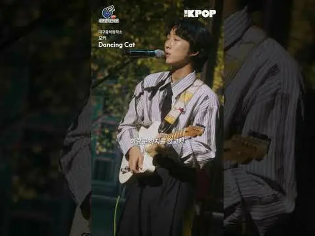 #音楽音楽祭 #LOCAL_LABEL #地域ミュージシャン #KOCCA大邱音楽創作所モーカー 'Dancing Cat' MV CLIPチャンネルに参加して