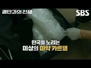 #SBS教養 #ギャング団との戦争 #ChasingBorderlessCrime #チョ・ジヌン_  #検察 #警察 #関税庁 #国政院 #海洋警察 #海外捜