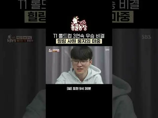 T1ロールドカップ3連続優勝秘訣ヒーリング寺院龍寺のお迎え #シン・ドンヨプ #チョン・ソニ(チョン・ソンヒ)_  #トニー・アン(HOT)_  #ジョイ#SB