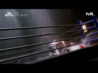 #IM(MONSTA X)_ ボクサー #マ・ドンソク_  #キム・ジョングク_  #デックス
アイエムボクサーEP.4


世界的なアクションスター
30年経