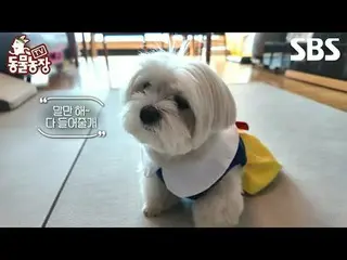 #シン・ドンヨプ #チョン・ソニ(チョン・ソンヒ)_  #トニー・アン(HOT)_  #ジョイ
 #SBS教育 #TV動物農場 #動物農場 #AnimalFar