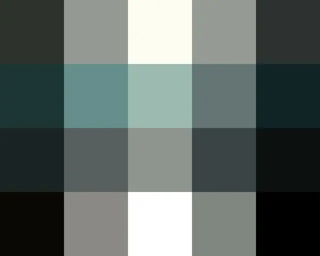 PCルームDukhuが釜山に行った理由 #湿疹のヒント #スブスが知っている蜂蜜のヒント #生活の達人 #生月 #釜山PCバンダックSBS「生活の達人」 ☞[月