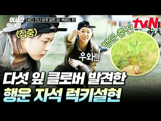 テレビでストリーミング: #tvN #海を渡る家北海道編YouTubeで素早く見るホットな映像！  #2時間ホットクリップ私の家を持って去る世界旅行！ #tvN