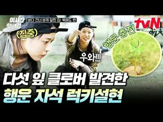 テレビでストリーミング:

 #tvN #海を渡る家北海道編
YouTubeで素早く見るホットな映像！  #2時間ホットクリップ

私の家を持って去る世界旅行！