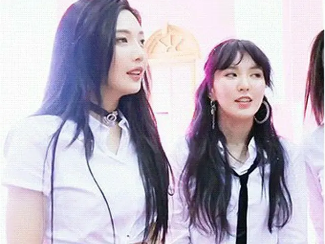Red Velvet ウェンディ、ジョイのセクシーポーズへの反応…「編集！」