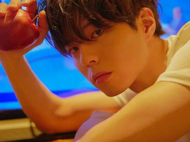 写真家のキム・ヒジュンが俳優パク・ボゴム の画報を公開