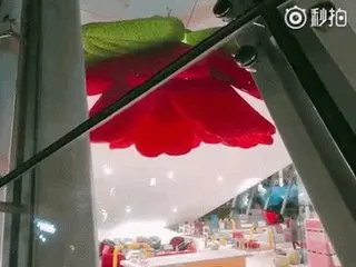 BIGBANG G-DRAGON、新しい「GDカフェ」のシンボルは「呼吸する花」