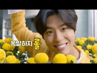 【韓国CM】パク・ボゴム、ドミノピザ(Domino's Pizza)のCM   
