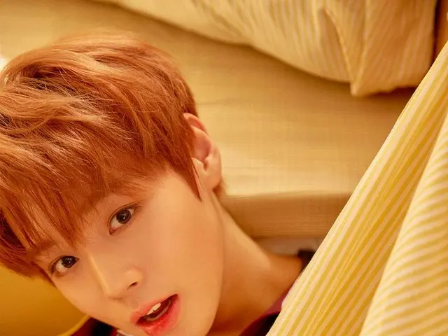 【t公式】Wanna One、2nd ミニアルバムフォトを公開。