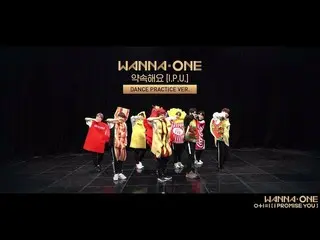 【公式cj】WANNA ONE - 約束するよ(I.P.U)、 ダンス練習バージョン  