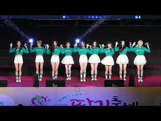 【直カムW】 MOMOLAND、180404論山イチゴ祭り「Freeze」4K直カム公開