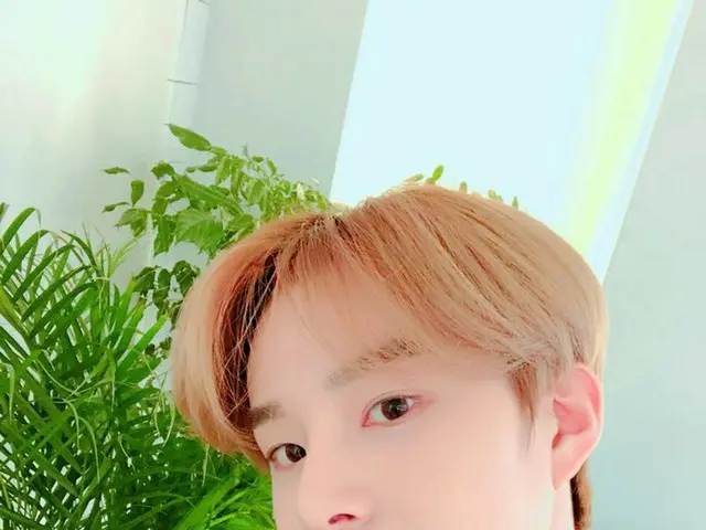 【t公式】NCT、SNS更新。