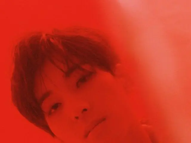 SEVENTEEN ウォヌ、THE8、スングァン、VERNON、画報公開