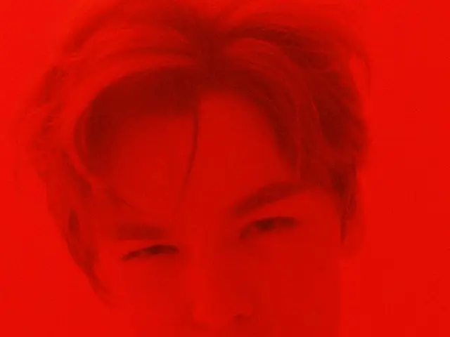SEVENTEEN ウォヌ、THE8、スングァン、VERNON、画報公開