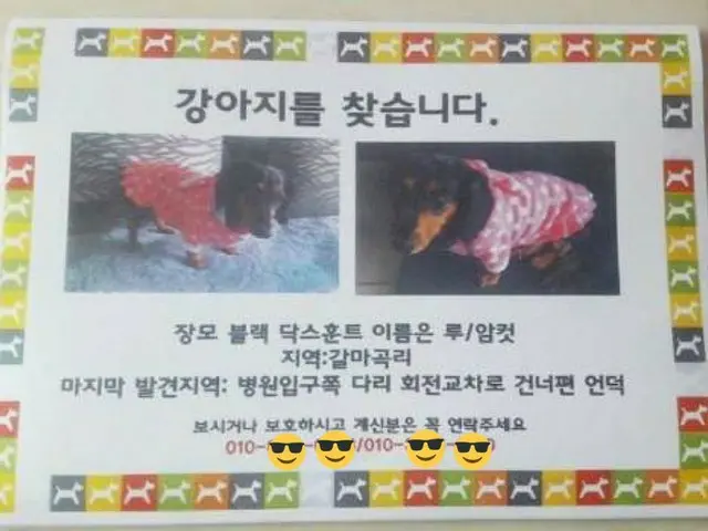 故SHINee ジョンヒョンの愛犬「ルー」、25日の失踪