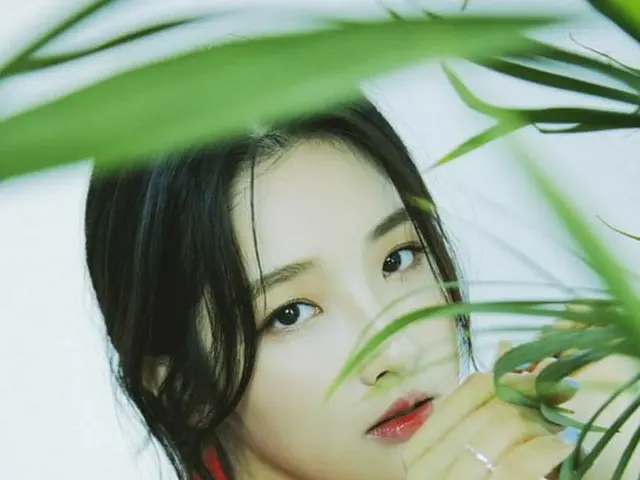 元4Minute ジヒョン、画報公開。