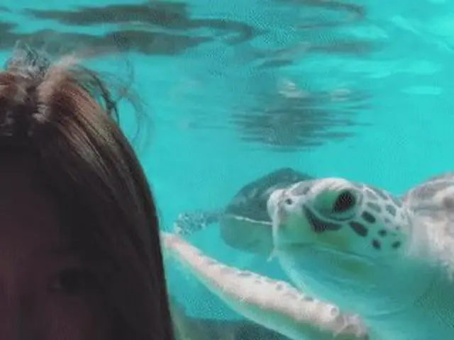 少女時代 テヨン、海洋生物にも大人気