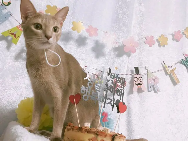 【g公式】SECRET_ヒョソン、 誕生日を迎えたネコちゃんの写真を公開。