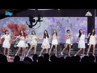 【公式mb2】 [芸能研究所直カム]MOMOLAND、「Only one you」