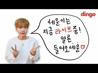 【T公式】チョン・セウン、[dingoミュージック]チョン・セウンのリアルタイムライブ公開