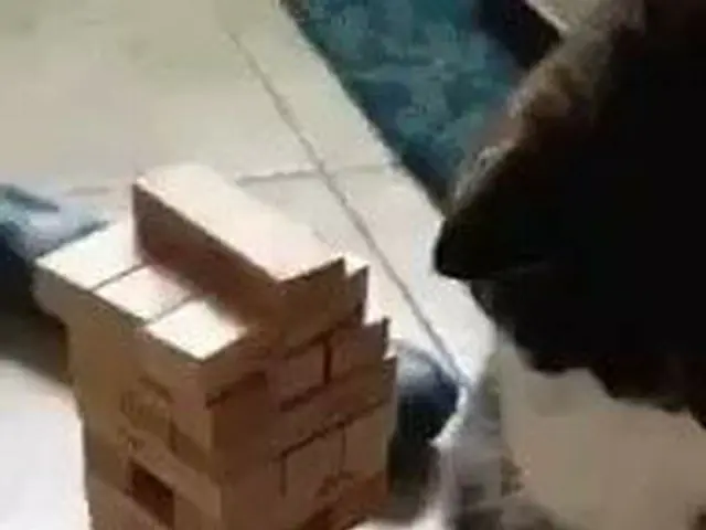 「遊戯本能」