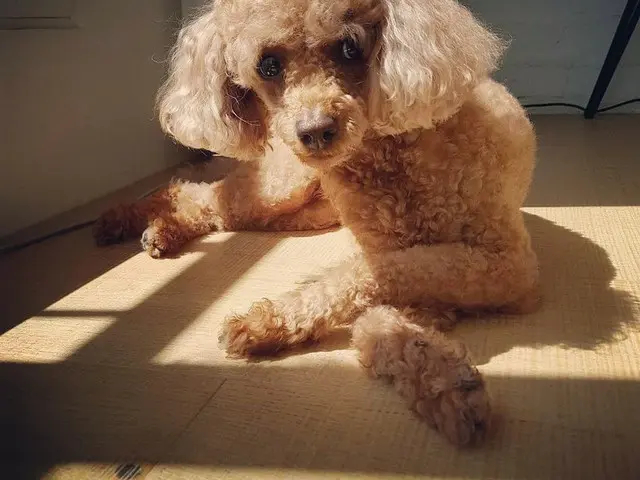 【g公式】女優カン・ソラ、写真を公開。