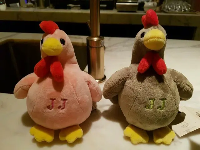 2017年の酉年、JYJ ジェジュン vs 酉ジェジュン。