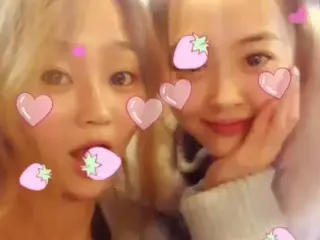 SISTAR、グループ内の溝