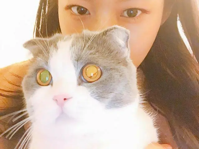 AOA ソリョン、SNS更新。