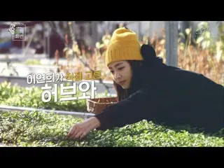 【動画】【公式SM】イ・ヨニ(Lee Yeon Hee)の春のビビンパ (Flower Bibimbob)_Teaser #2  