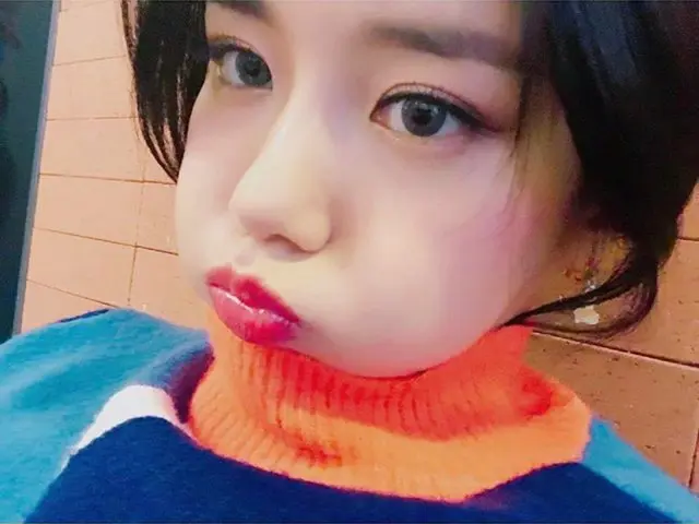AOA、AOd(Ace of Dogs)、近況公式。