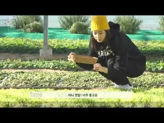 【動画】【公式SM】女優イ・ヨニ(Lee Yeon Hee)の春のビビンパ(Flower Bibimbob)_#1  