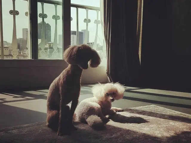 【g公式】女優カン・ソラ、 Gomi＆Minkyの写真を公開。