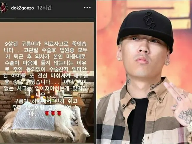 ラッパーのDok2、ペットの犬を医療事故で失う