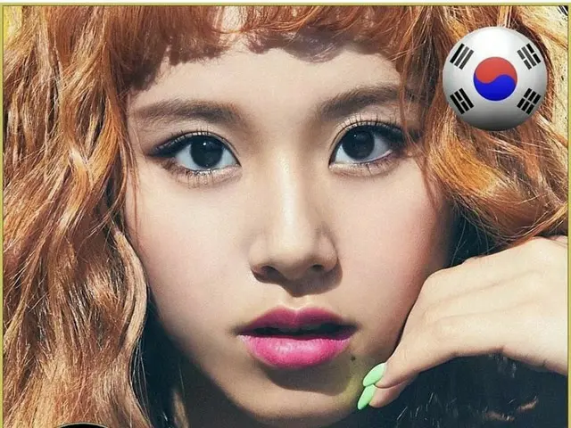 TWICE ツウィのエントリーには台湾の旗