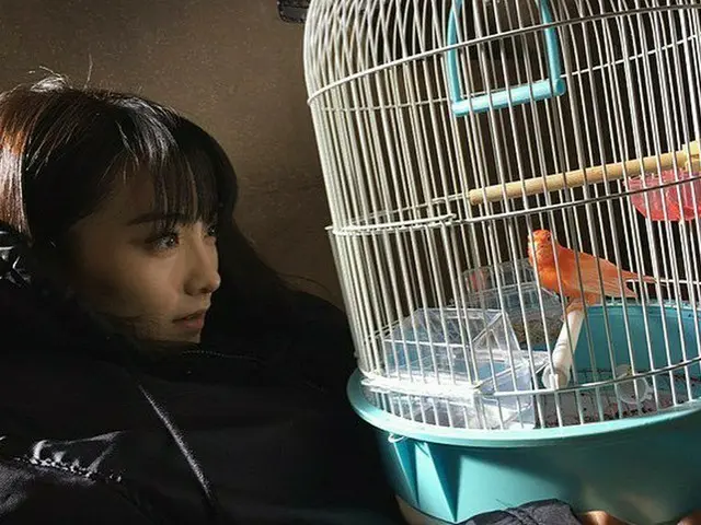 、、【g公式】KARA_出身ジヨン(知英)_JY、小鳥に集中。
