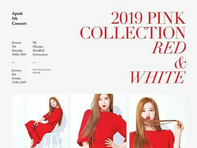 Apink、単独コンサート”メンバー別ポスター”をサプライズ公開！その2