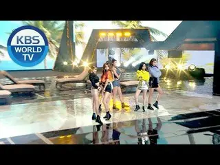 【歌謡大祝祭】AOA - Bingle Bangle