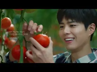 【韓国CM】パク・ボゴム、ブランド「ACE BED」CF #2を公開