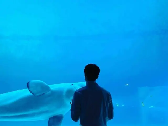 【G公式】EXO_セフン、海のファンともアイコンタクト中。