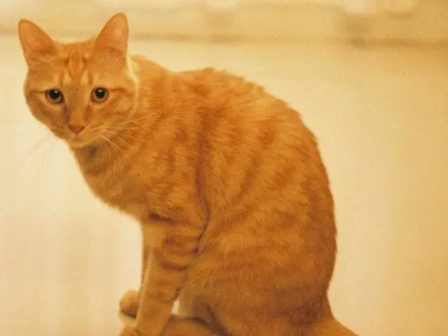 、、【g公式】女優カン・ソラ、SNS更新。