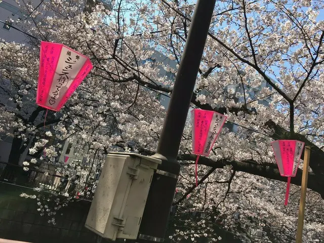JYJ ジュンス、4月の日本に「空中降臨」。