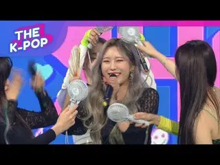 【公式sbp】 MOMOLAND  、TheWINNER of THE SHOW！@［THE SHOW 190402] 公開