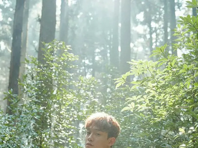 EXO CHEN、1stソロアルバム「April, and a flower」でシンナラレコードやHOTTRACKSなど主要アルバム週間チャートで1位獲得。