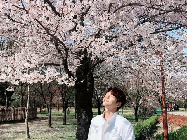 【G公式】INFINITE エル、桜と共に