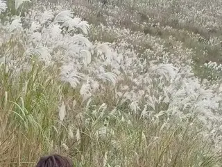 、、【T公式】チョン・セウン、動画公開