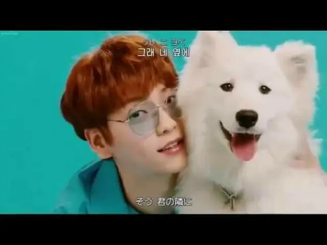 、、【日本語字幕】TXT  -  Cat＆Dog   