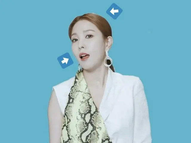 BoA、ミュージック・ビデオでファンの間で舌戦